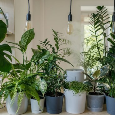 Home Sustainability Altogether